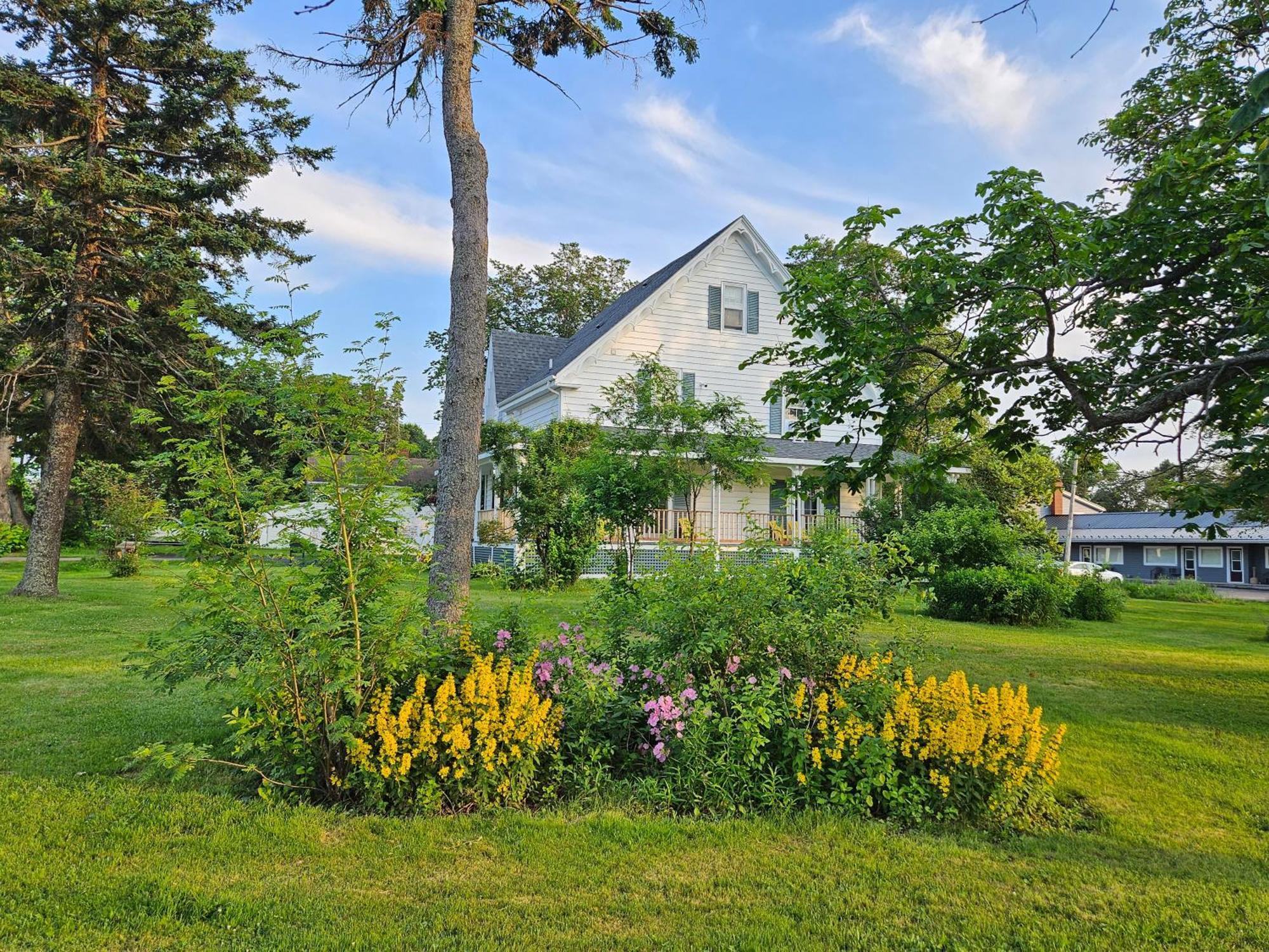 Sunflower Guest Suites Summerside Exteriör bild